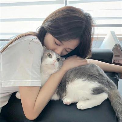 乱马1/2第二季